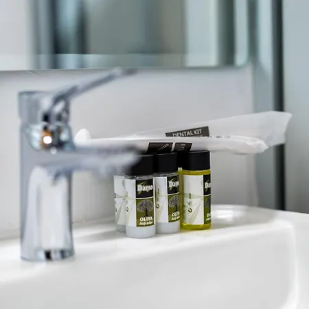 Appartamento Olga Premium *