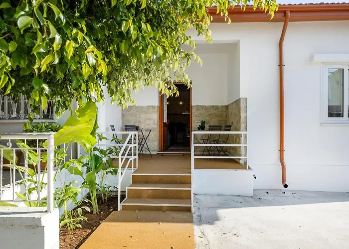 Daire Olga Premium *