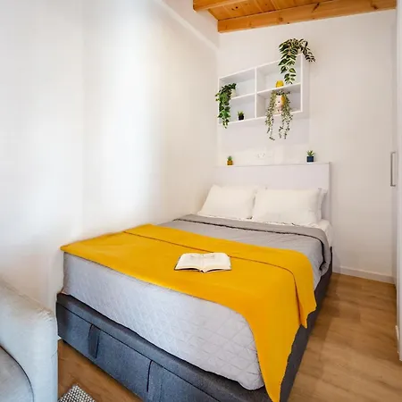 Olga Premium Apartamento *